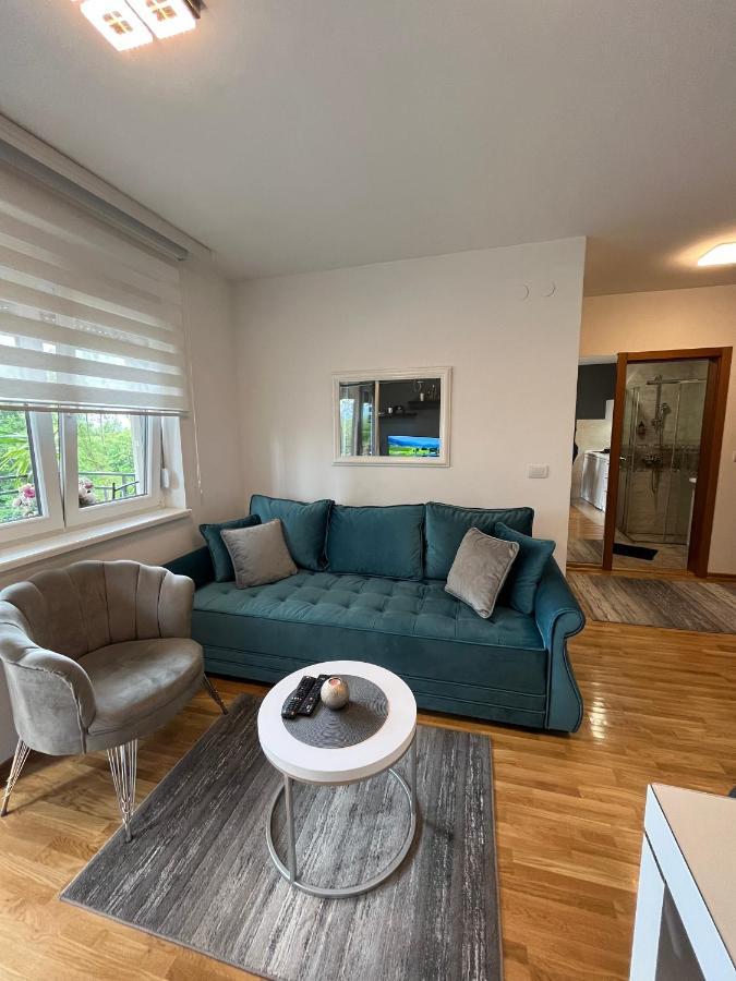 Apartman Korac Vrnjacka Banja Ngoại thất bức ảnh